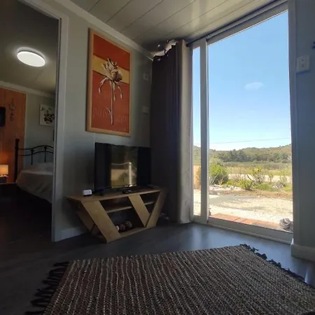 Mountain View Dimilia *