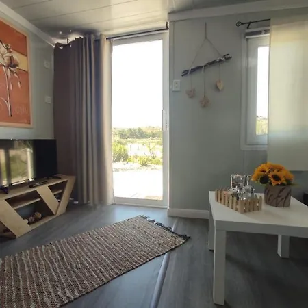 Mountain View Dimilia