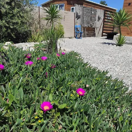 Сasa de vacaciones Mountain View Dimilia Fánai