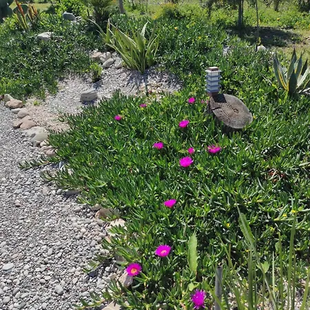 Mountain View Dimilia Сasa de vacaciones *