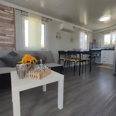 Mountain View Dimilia *