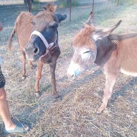 Сasa de vacaciones Mountain View Dimilia Fánai