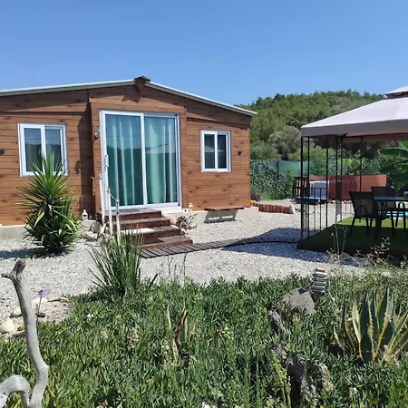 Mountain View Dimilia