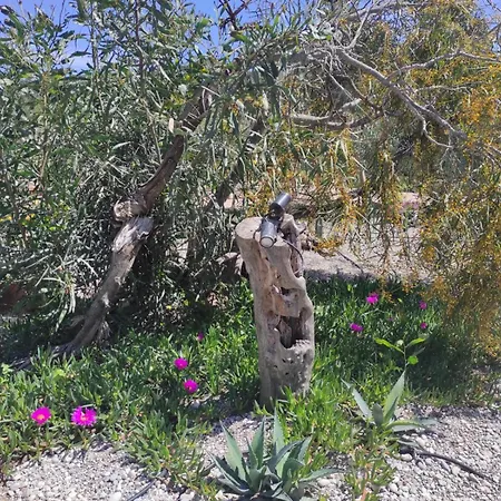 Mountain View Dimilia * Fanes (Rhodes)