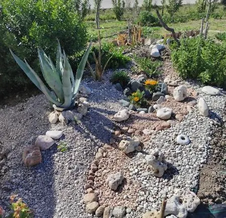 Mountain View Dimilia *