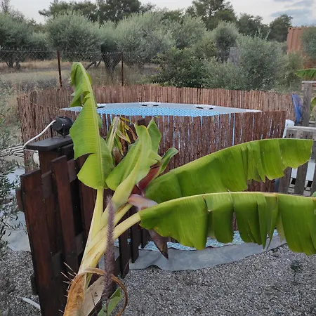 Mountain View Dimilia Дом отдыха *