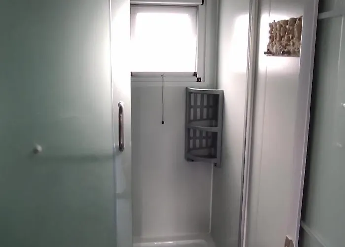 Mountain View Dimilia *