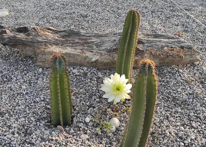 펜션 Mountain View Dimilia Fánai