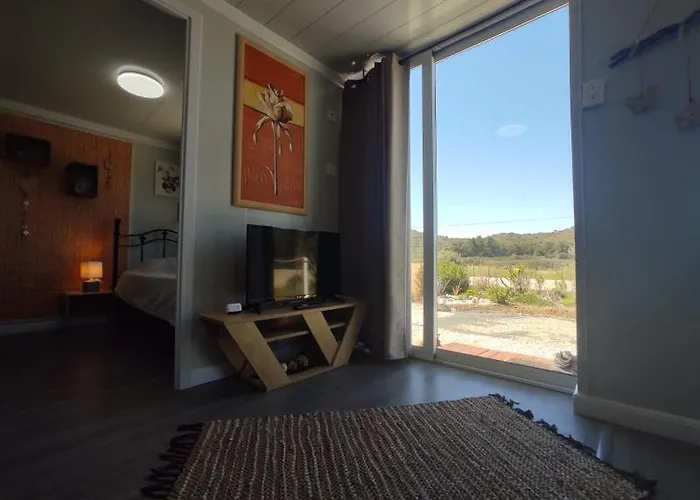 Mountain View Dimilia *