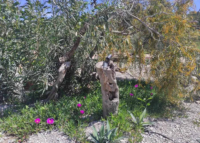 Mountain View Dimilia * Fánai