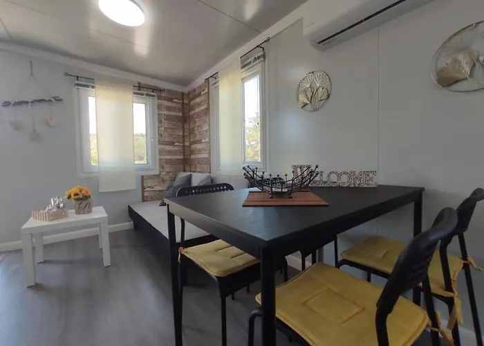 Mountain View Dimilia *