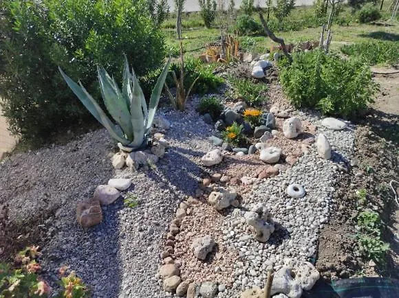 Mountain View Dimilia *