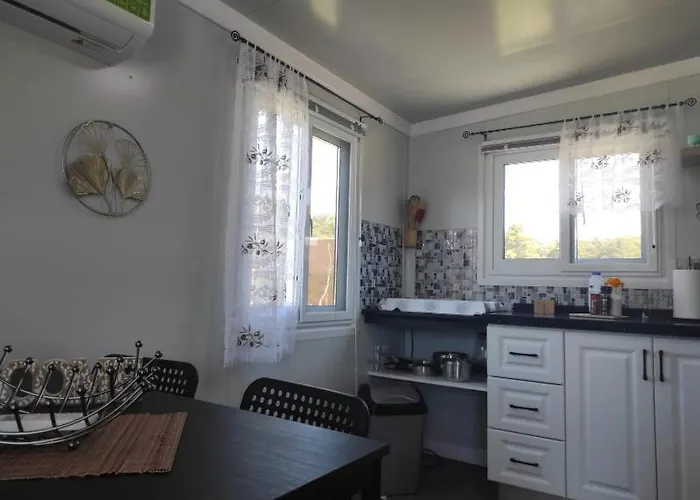 Mountain View Dimilia