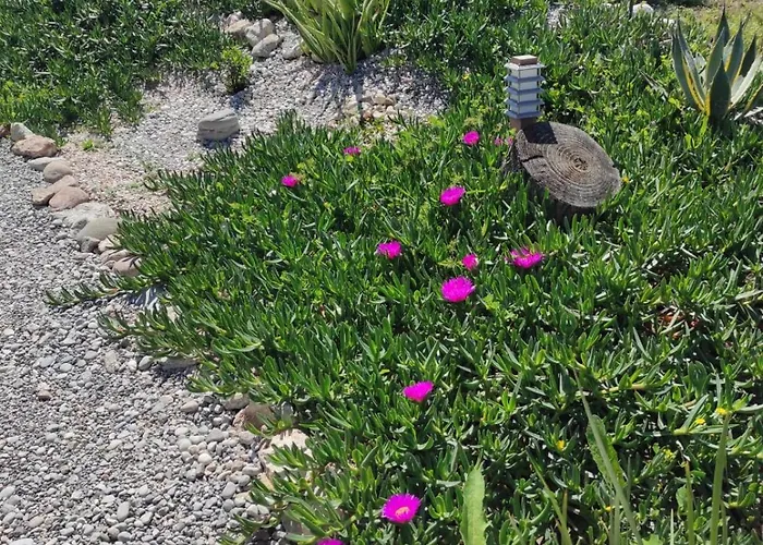 Mountain View Dimilia 펜션 *