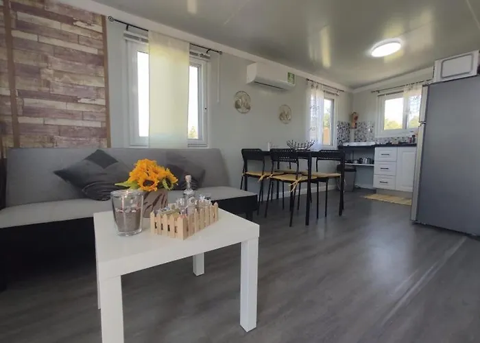 Mountain View Dimilia *