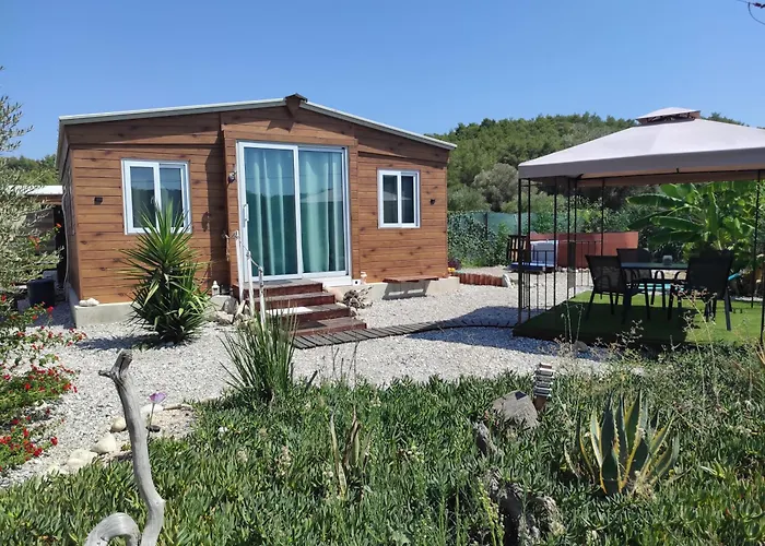 Mountain View Dimilia