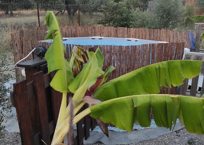 Mountain View Dimilia 펜션 *